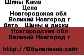 Шины Кама 205 175/70R13 › Цена ­ 1 540 - Новгородская обл., Великий Новгород г. Авто » Шины и диски   . Новгородская обл.,Великий Новгород г.